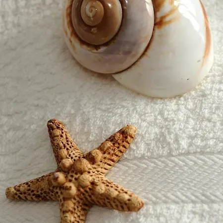 Atticobianco Alojamento de Acomodação e Pequeno-almoço 4*