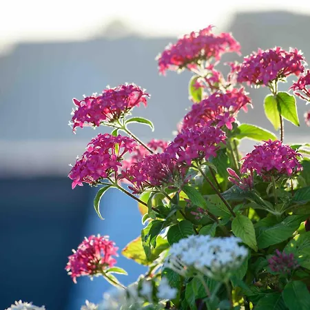 Bed and breakfast Atticobianco 4*